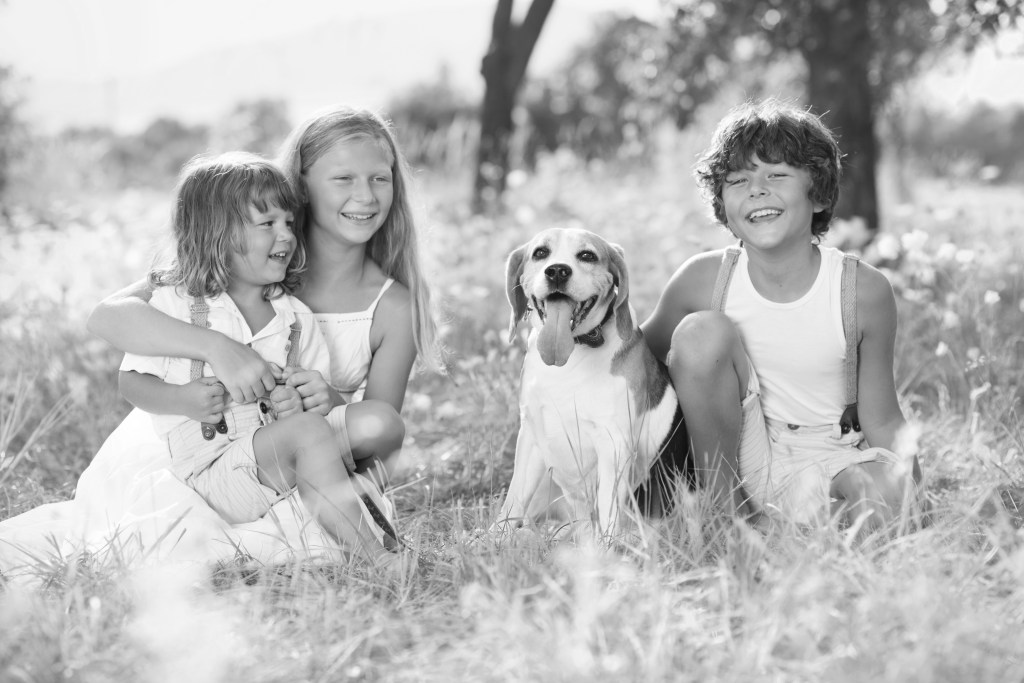 Happy Dog and kids enjoying the sun